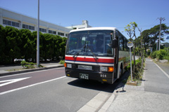 2010osima-kaiyokokusai-h-04.jpg