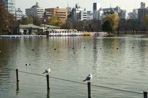 2010shinobazuekiden.jpg