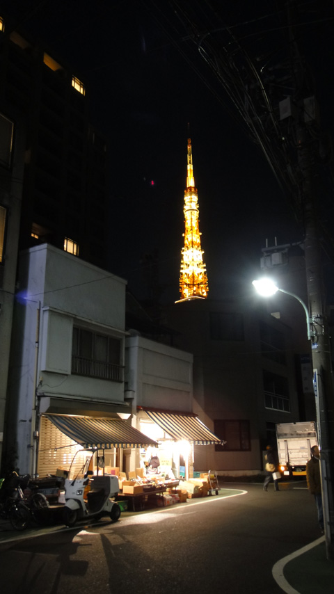 20110131tokyotower.jpg