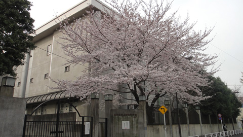 201104ueno01.jpg