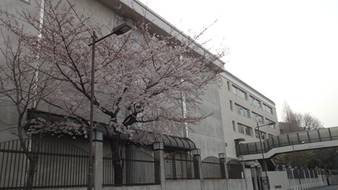 201104ueno02.jpg