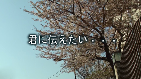 2011年上野高校の桜＋台詞