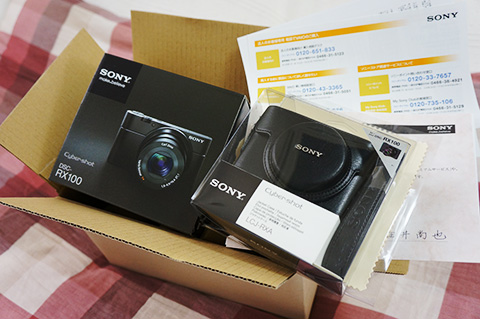 DSC-RX100