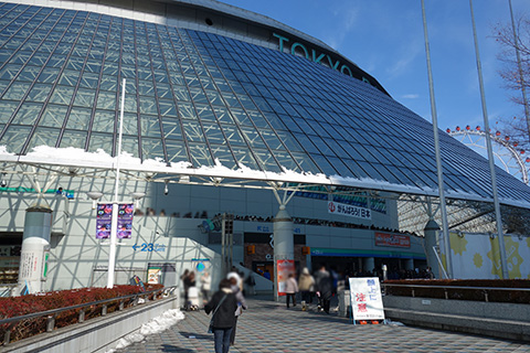 20130117tokyo-dome01.jpg