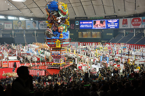 20130117tokyo-dome11.jpg