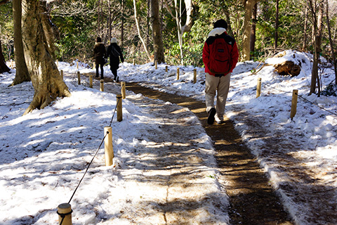 201301takaosan20.jpg