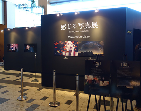 4K PHOTO EXHIBITION