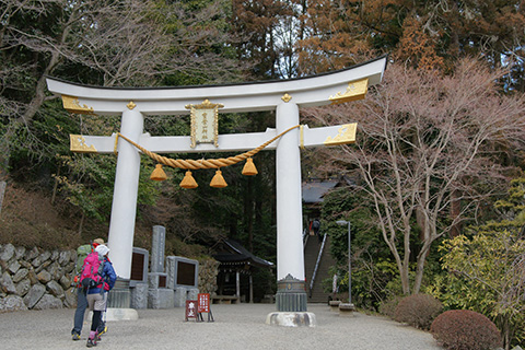 宝来神社の鳥居