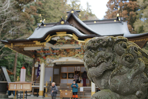 宝来神社の狛犬