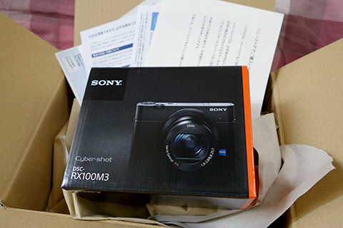 DSC-RX100M3