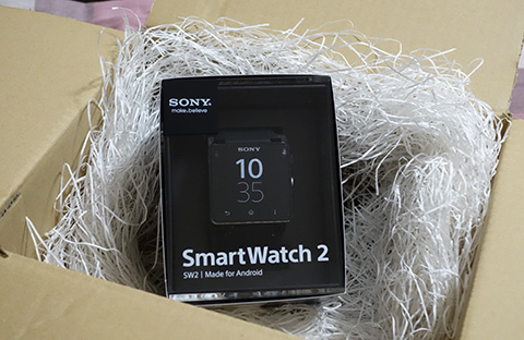 SmartWatch2