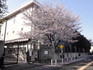 201004_ueno65.jpg