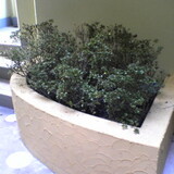 20050904.jpg