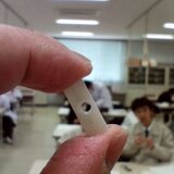 20060419.jpg