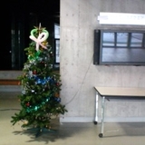 20061220.jpg