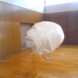 20070319.jpg