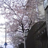20070330.jpg