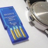 20070331.jpg