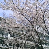 20070401.jpg