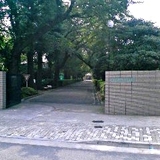 20070728.jpg