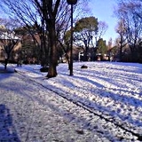 20080204.jpg