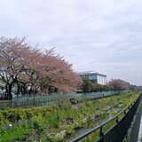 20080411.jpg