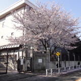 201004_ueno65.jpg