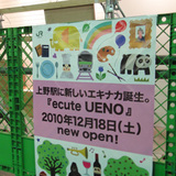 20101213.jpg