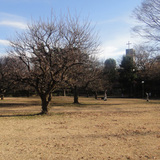 2010icu01.jpg