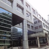 2010shinjukuyamabuki.jpg