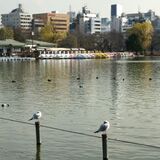 2010shinobazuekiden.jpg