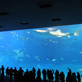 2011-okinawa01.jpg
