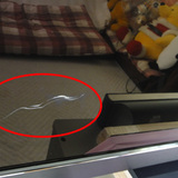 20110311KDL-46HX80.jpg