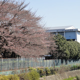 20110405kurumenishi.jpg
