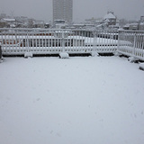 20130114snow01.jpg