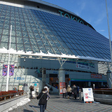 20130117tokyo-dome01.jpg