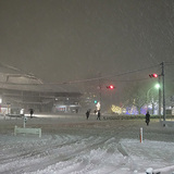 20140214snow.jpg