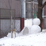 2014snow01.jpg