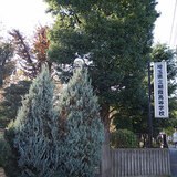 asaka-h01.jpg