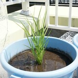 bucket_ine_2010_0604_01.jpg