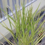 bucket_ine_2010_0819.jpg