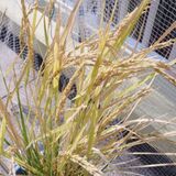 bucket_ine_2010_0922_01.jpg