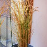 bucket_ine_2010_0926_01.jpg
