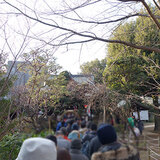 hatonomori-shrine.jpg