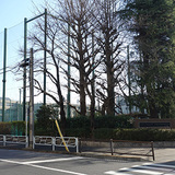 minamitama201303.jpg