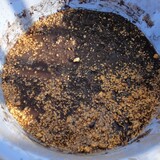 plant_seeds01.jpg