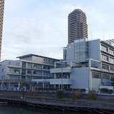 st-h.jpg