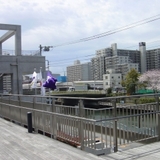 st2005.04.07.jpg