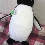 suica_penguin.jpg