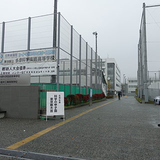 tama-st-h.jpg